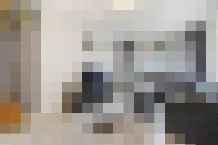 Reinwardtstraat 77 Den Haag thumbnail 5