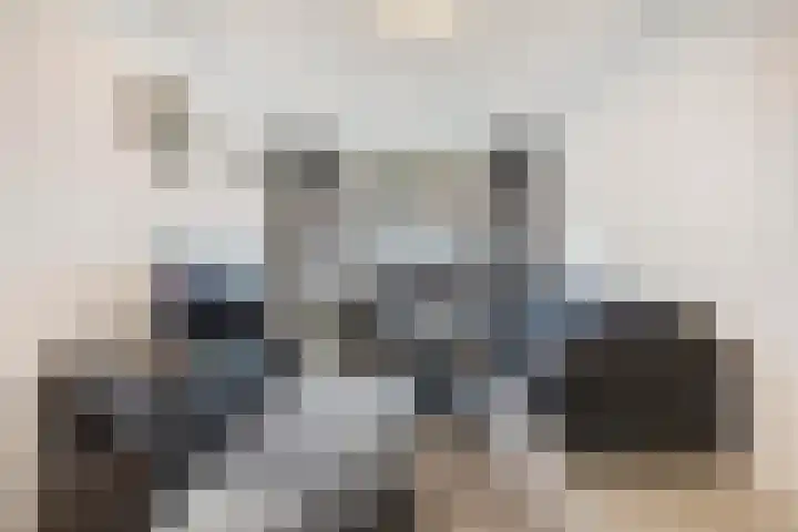 Reinwardtstraat 77 Den Haag thumbnail 6