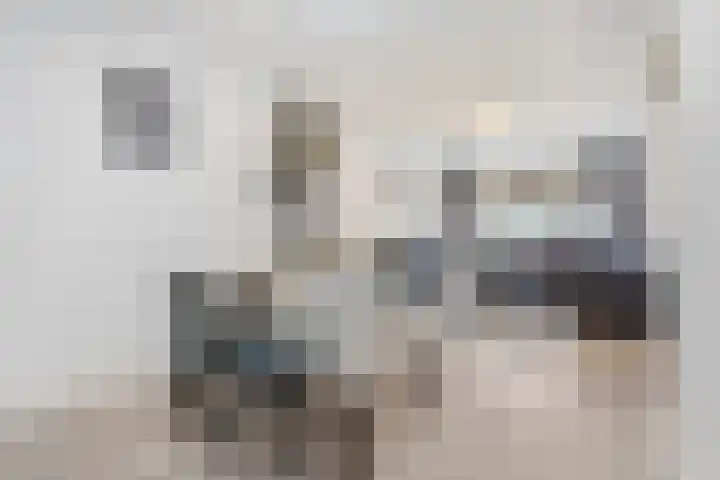 Reinwardtstraat 77 Den Haag thumbnail 8