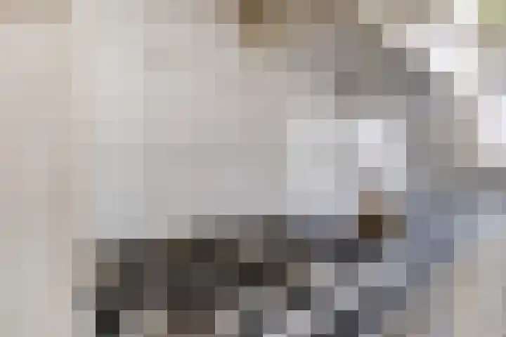 Reinwardtstraat 94 Den Haag thumbnail 11