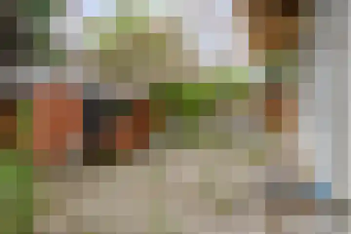 Reinwardtstraat 94 Den Haag thumbnail 19