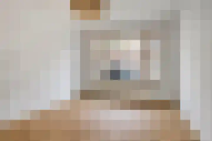 Reinwardtstraat 94 Den Haag thumbnail 6