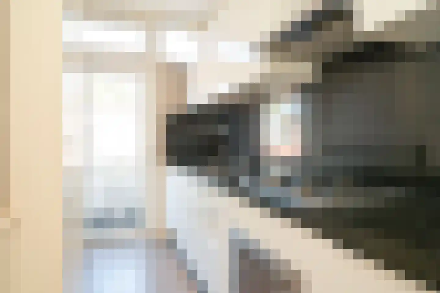 Reinwardtstraat 95 Den Haag thumbnail 32