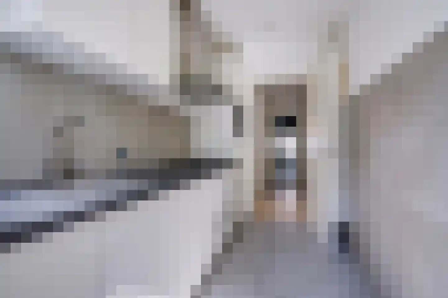 Reinwardtstraat 96 Den Haag thumbnail 16