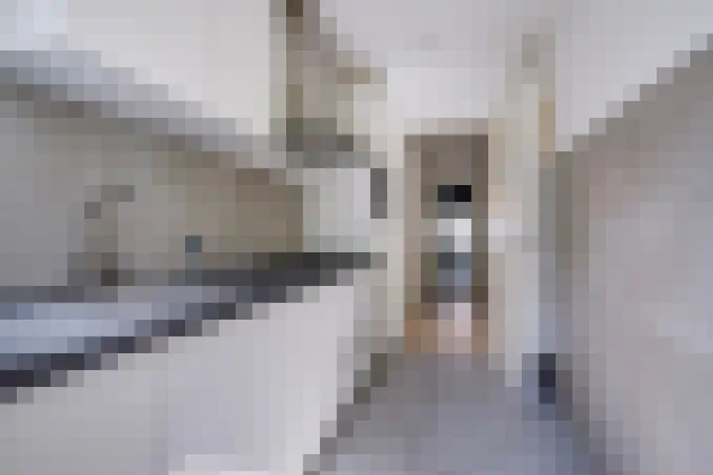 Reinwardtstraat 96 Den Haag thumbnail 16