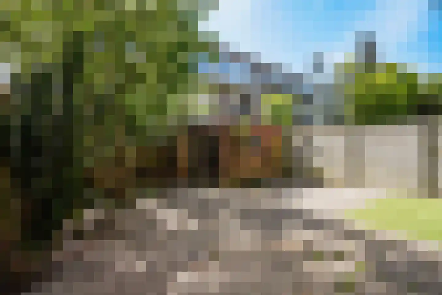 Reinwardtstraat 96 Den Haag thumbnail 4