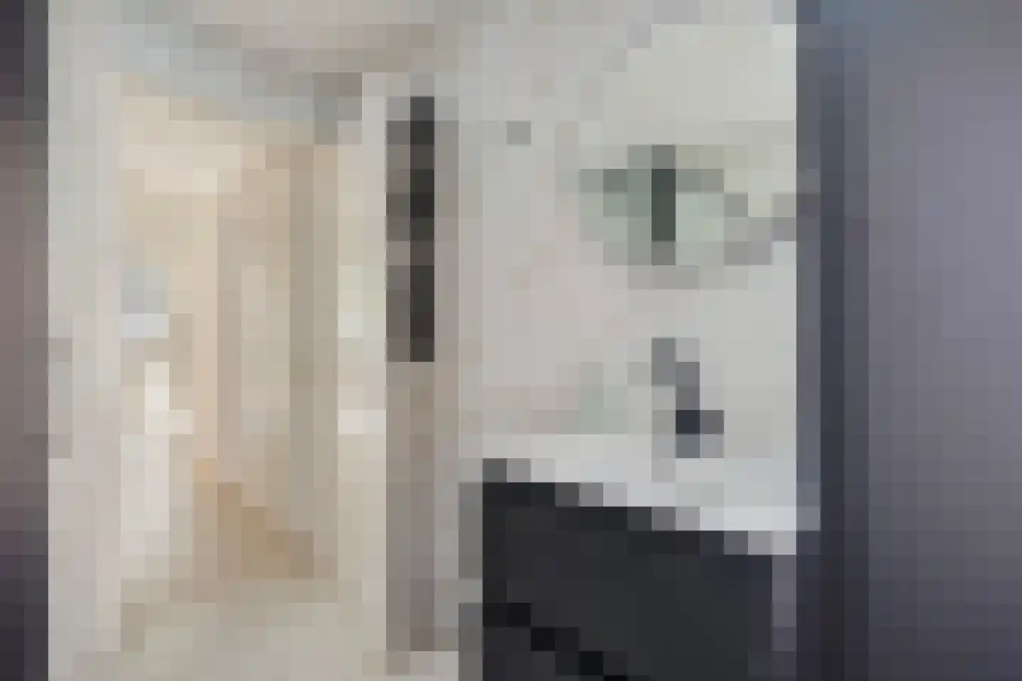 Reinwardtstraat 96 Den Haag thumbnail 8