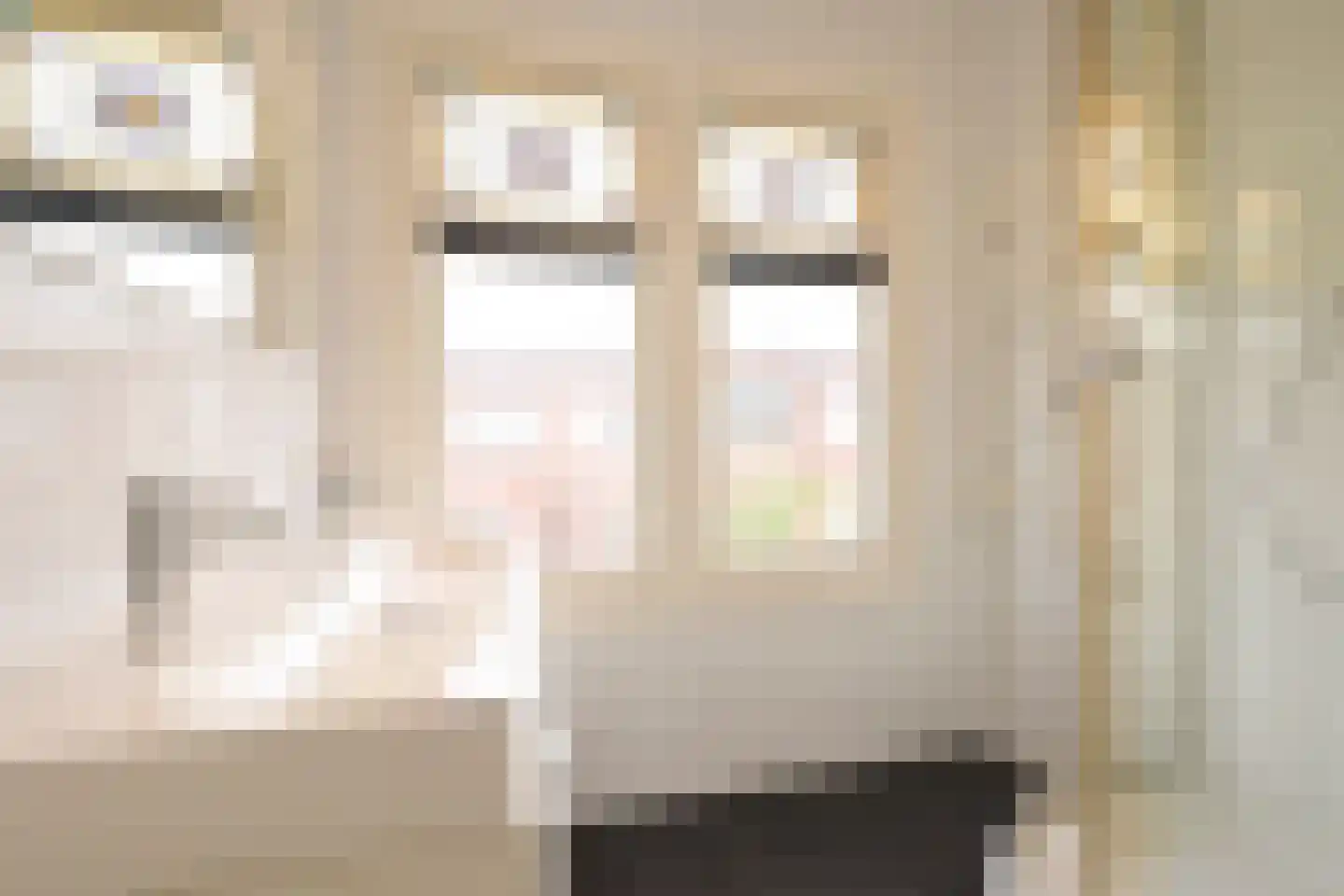 Reinwardtstraat 98 Den Haag thumbnail 30