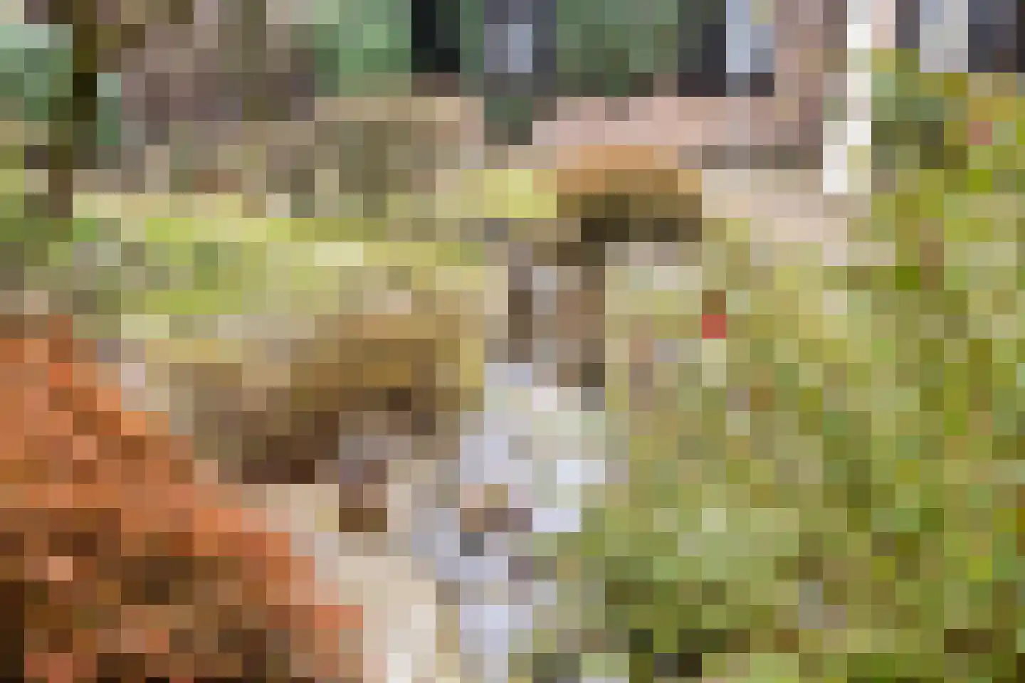 Reisdorfweg 1 Eindhoven thumbnail 57