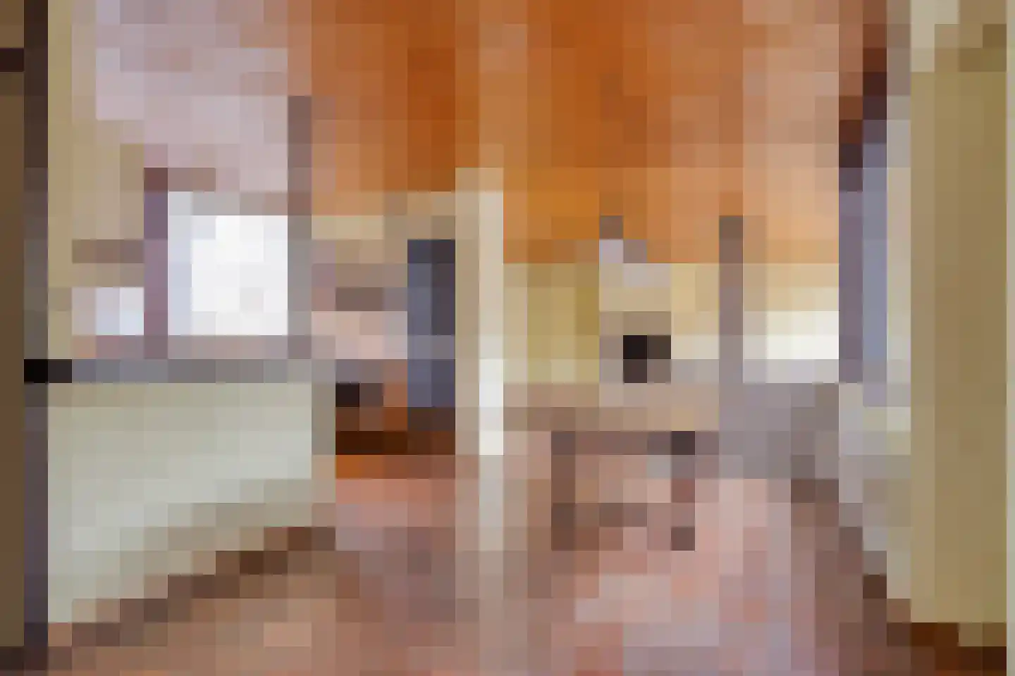 Reisdorfweg 5 Eindhoven thumbnail 12