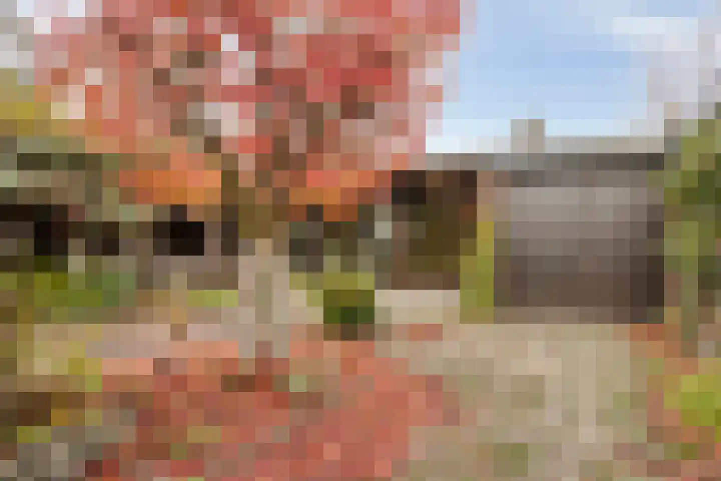 Reisdorfweg 5 Eindhoven thumbnail 29
