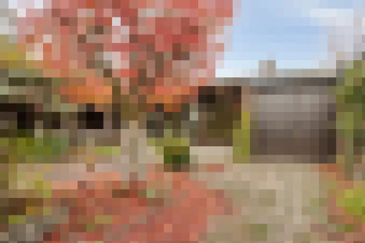 Reisdorfweg 5 Eindhoven thumbnail 4