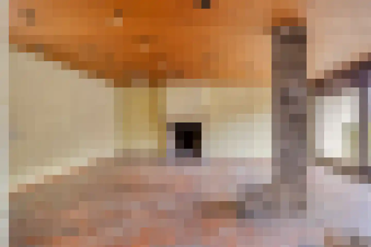 Reisdorfweg 5 Eindhoven thumbnail 7