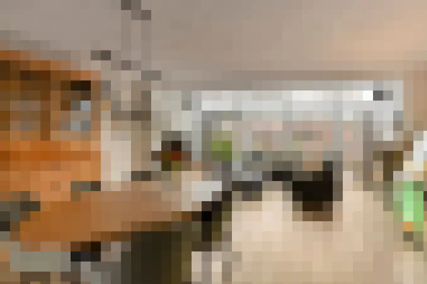 Reiskameraad 50 Eindhoven thumbnail 10