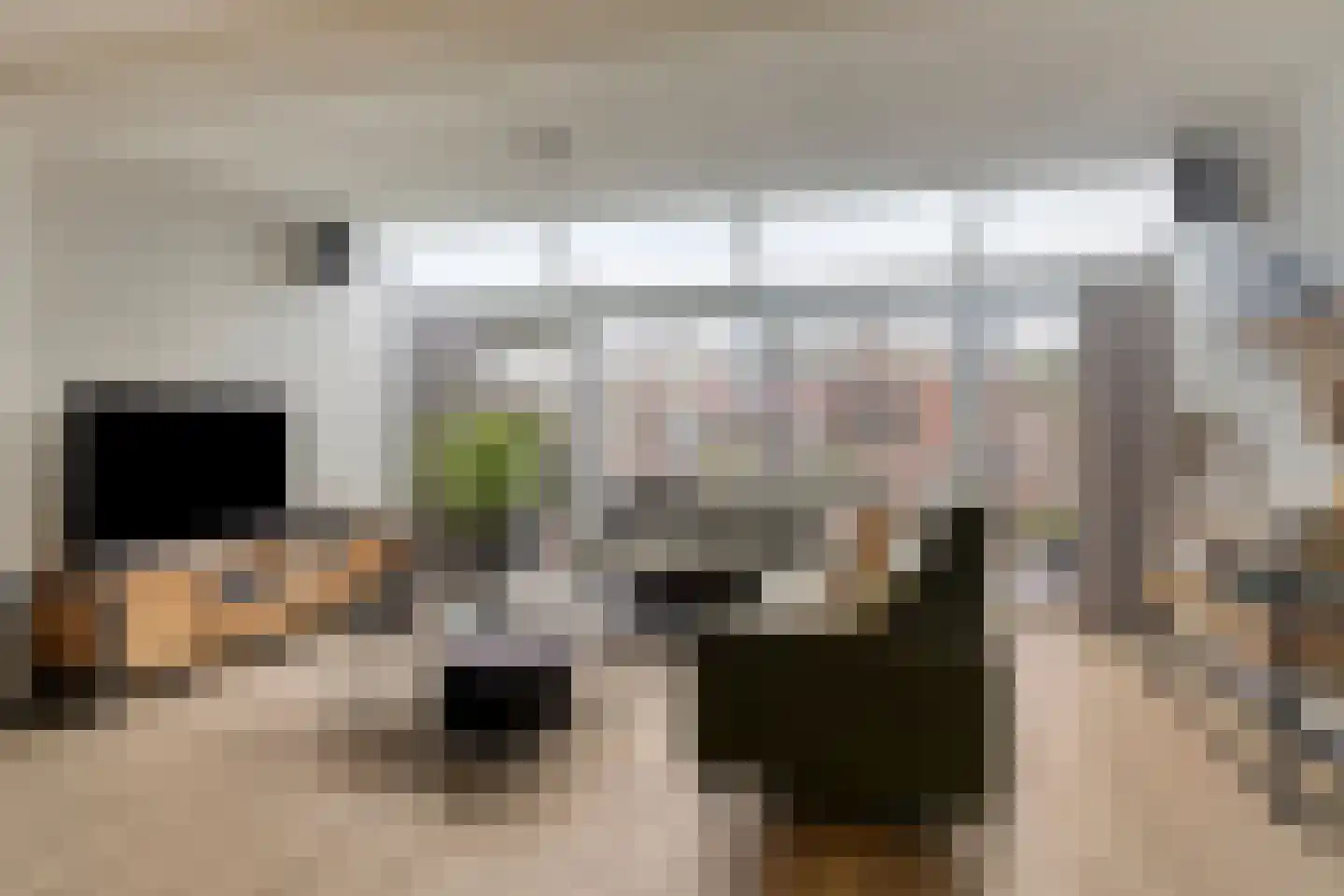 Reiskameraad 50 Eindhoven thumbnail 11