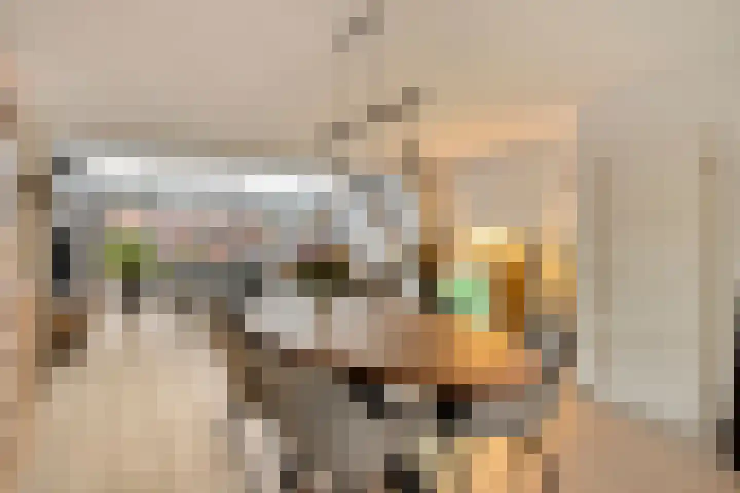 Reiskameraad 50 Eindhoven thumbnail 15