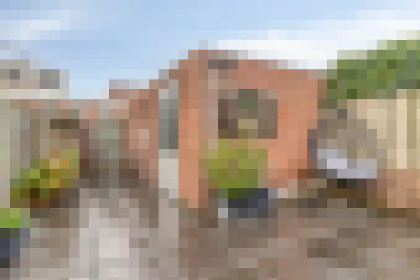 Reiskameraad 50 Eindhoven thumbnail 30