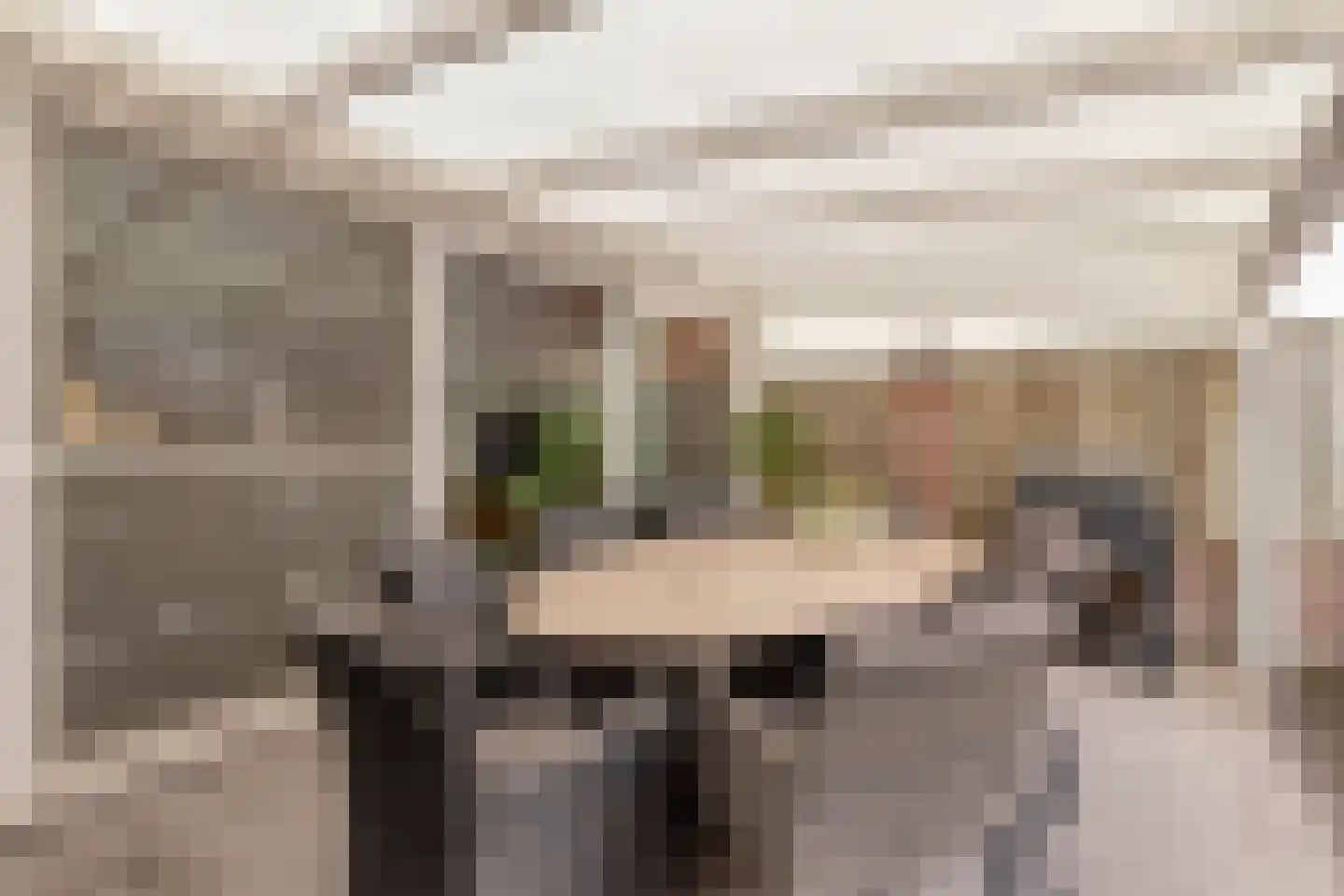 Reiskameraad 50 Eindhoven thumbnail 32