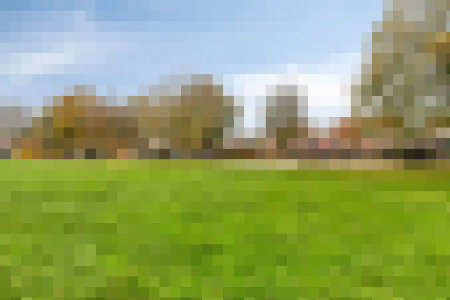 Reiskameraad 50 Eindhoven thumbnail 35