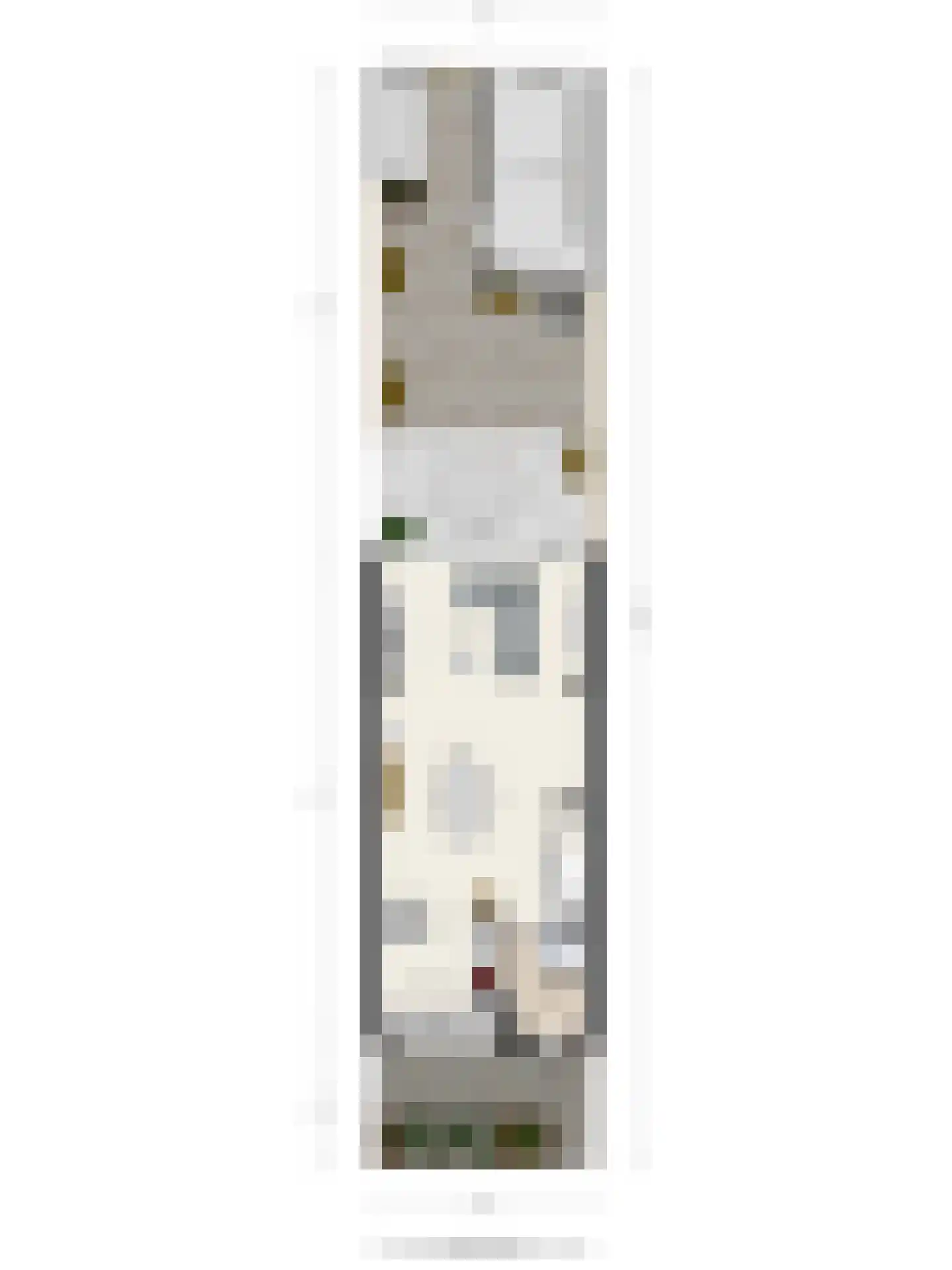 Reiskameraad 50 Eindhoven thumbnail 36