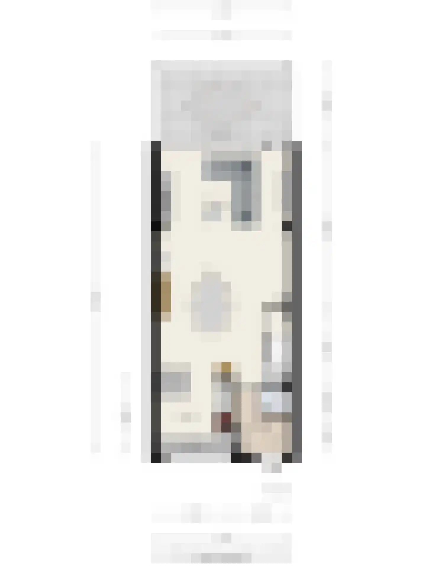 Reiskameraad 50 Eindhoven thumbnail 37