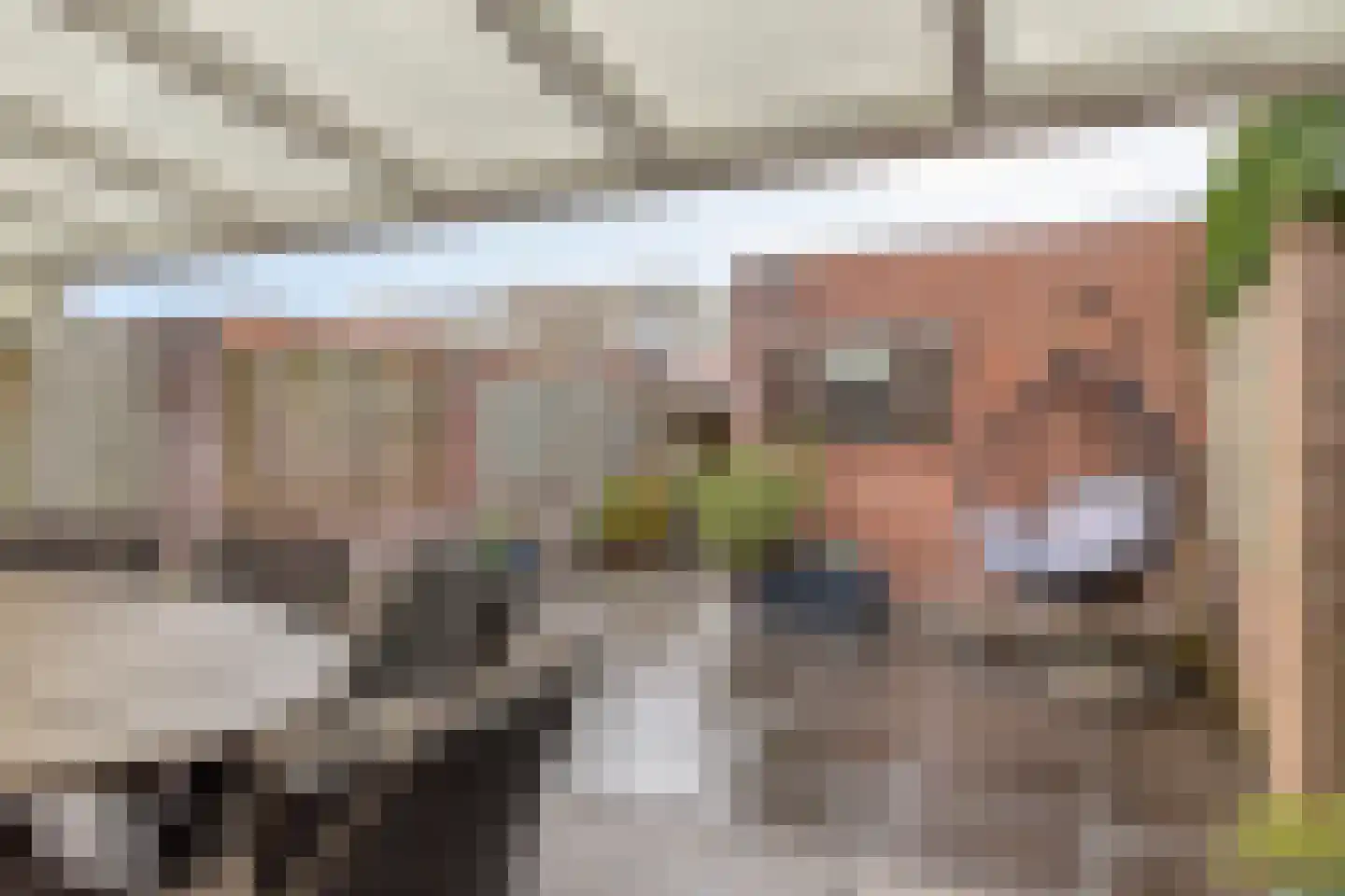 Reiskameraad 50 Eindhoven thumbnail 6