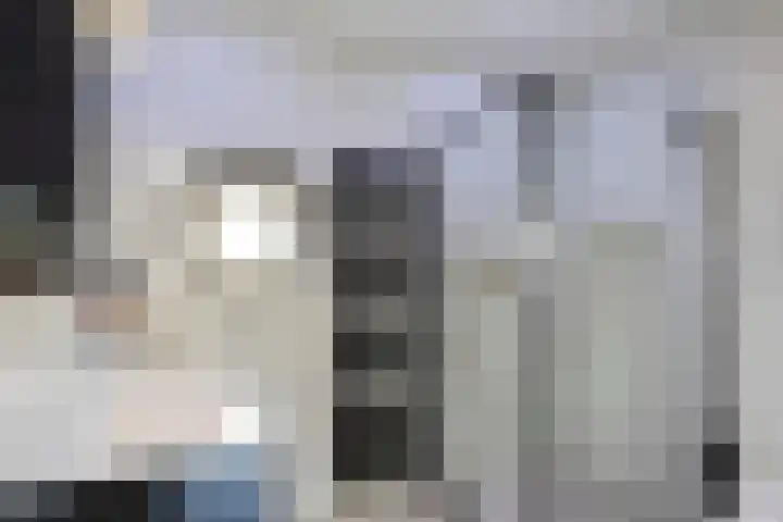 Reisvennestraat 38 Valkenswaard thumbnail 31