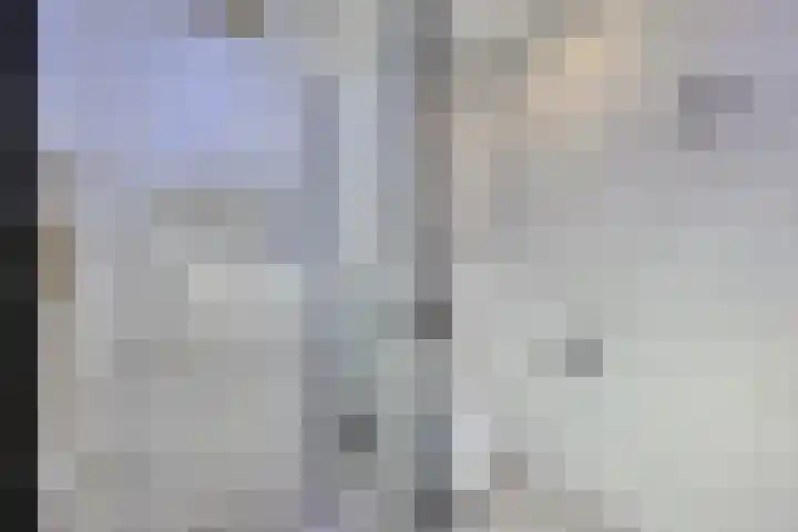 Reisvennestraat 38 Valkenswaard thumbnail 32