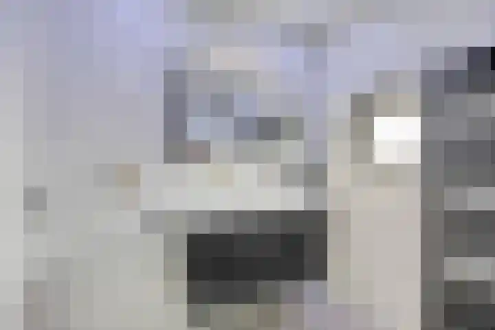 Reisvennestraat 38 Valkenswaard thumbnail 33