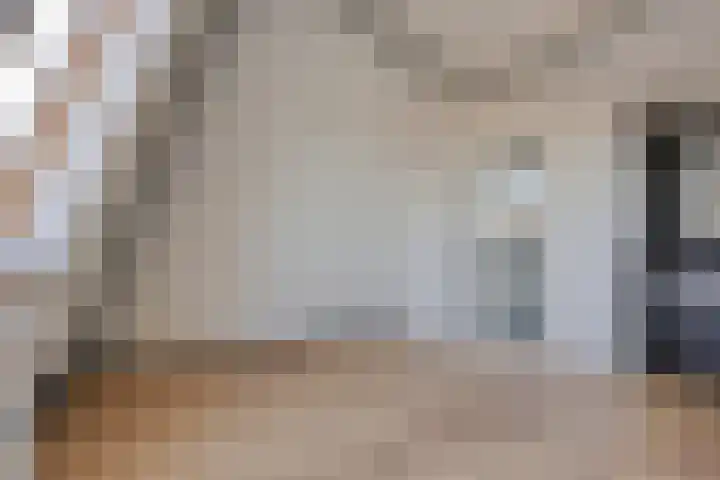 Reisvennestraat 38 Valkenswaard thumbnail 38
