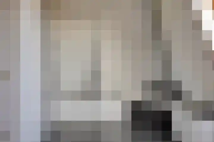 Reisvennestraat 38 Valkenswaard thumbnail 41
