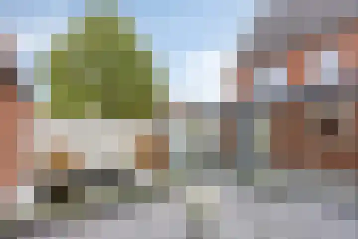 Reisvennestraat 38 Valkenswaard thumbnail 48
