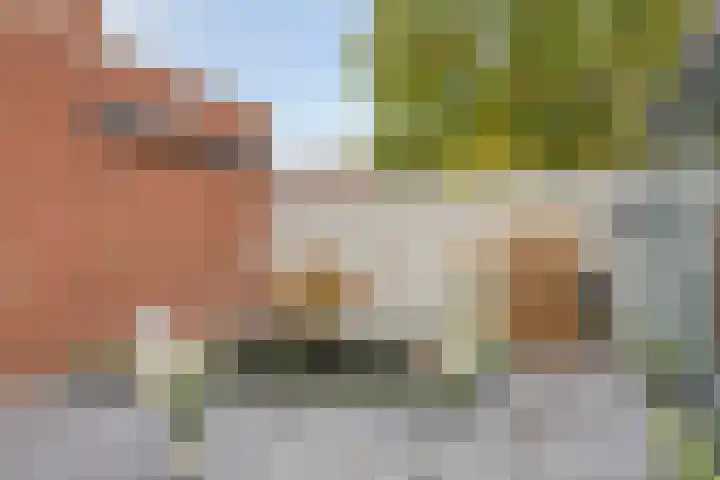 Reisvennestraat 38 Valkenswaard thumbnail 49