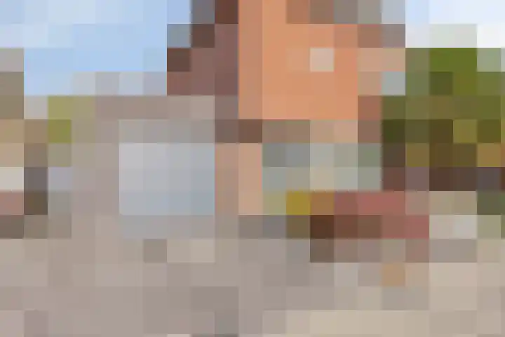 Reisvennestraat 38 Valkenswaard thumbnail 50