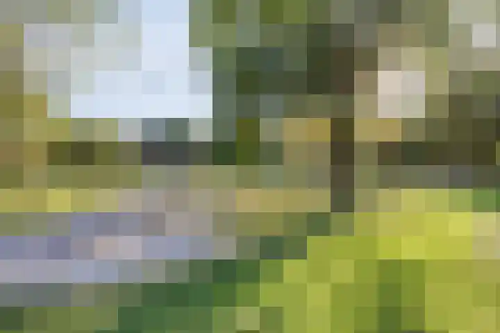 Reisvennestraat 38 Valkenswaard thumbnail 52