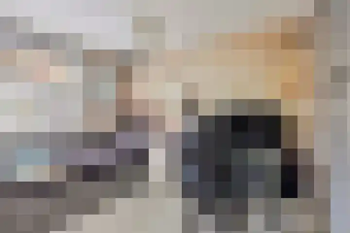 Reisvennestraat 39 Valkenswaard thumbnail 33