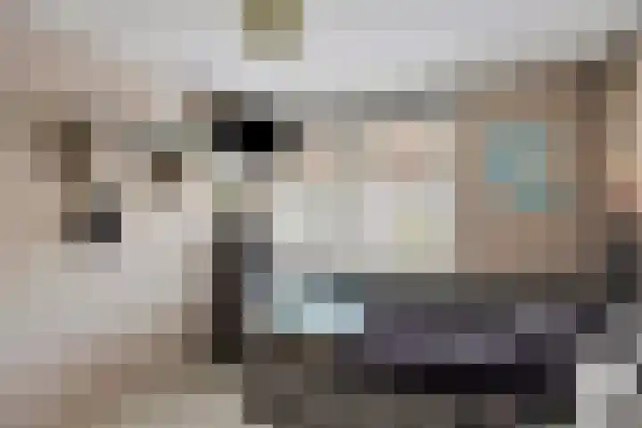 Reisvennestraat 39 Valkenswaard thumbnail 34