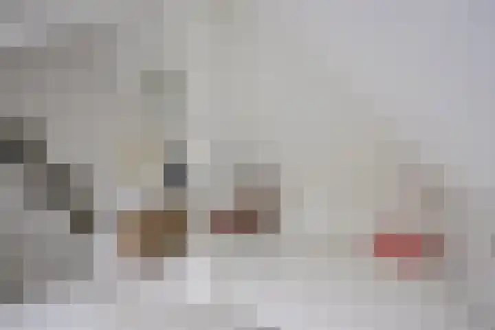 Reisvennestraat 39 Valkenswaard thumbnail 38