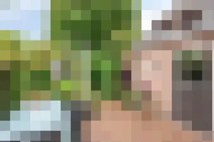 Reisvennestraat 39 Valkenswaard thumbnail 39