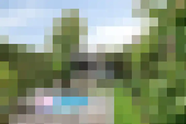 Reisvennestraat 39 Valkenswaard thumbnail 41