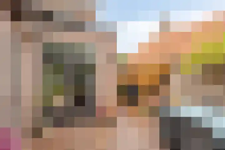 Reisvennestraat 39 Valkenswaard thumbnail 46