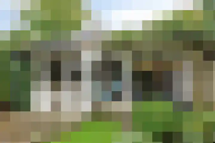 Reisvennestraat 39 Valkenswaard thumbnail 47