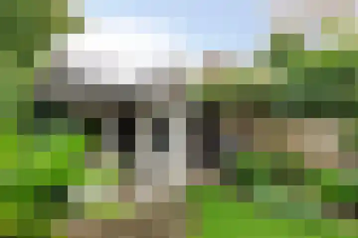 Reisvennestraat 39 Valkenswaard thumbnail 48