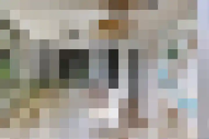 Reisvennestraat 39 Valkenswaard thumbnail 49