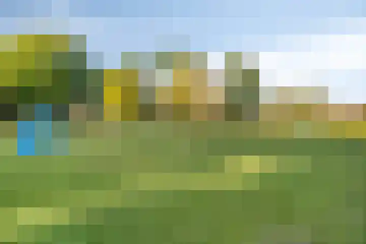 Reisvennestraat 39 Valkenswaard thumbnail 53