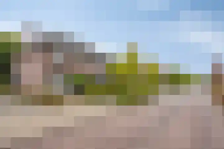 Reisvennestraat 39 Valkenswaard thumbnail 6