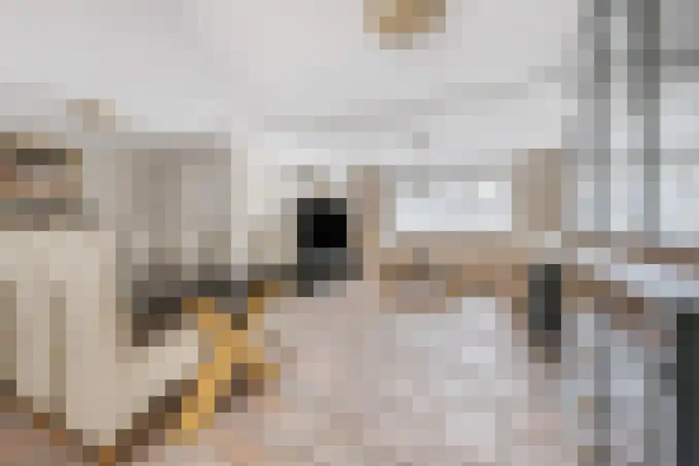 Reisvennestraat 53 Valkenswaard thumbnail 13