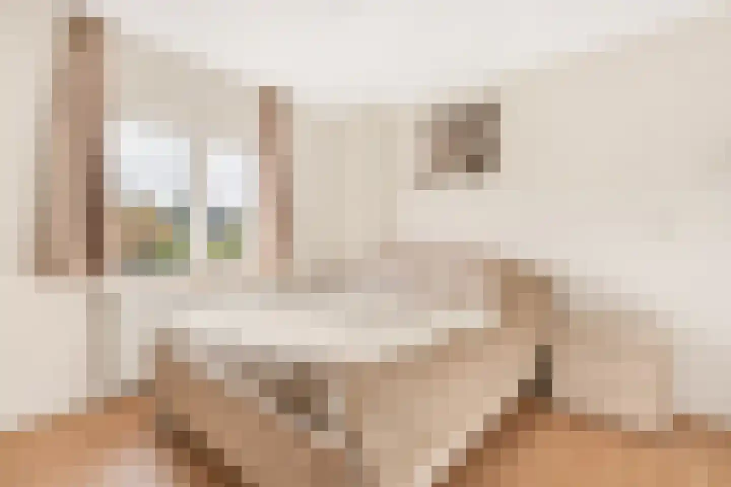 Reisvennestraat 53 Valkenswaard thumbnail 18