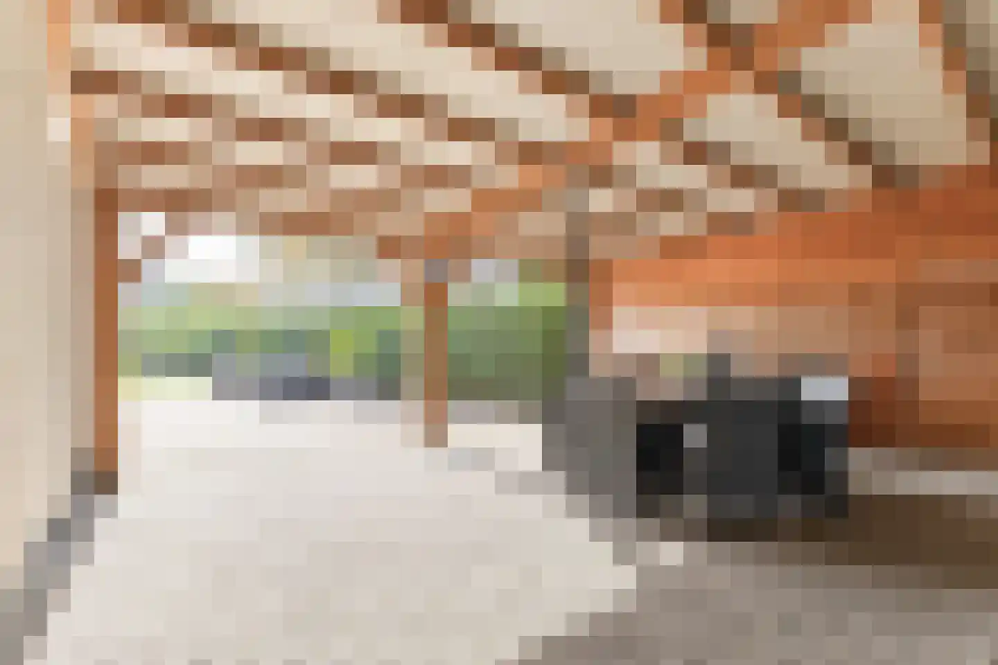 Reisvennestraat 53 Valkenswaard thumbnail 29