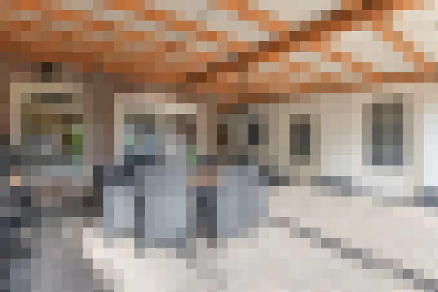 Reisvennestraat 53 Valkenswaard thumbnail 30